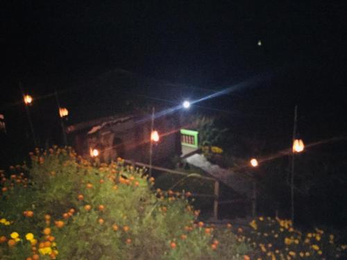 a street light at night with flowers and lights at VAMOOSE PARKHA SIKKIM in Rangli