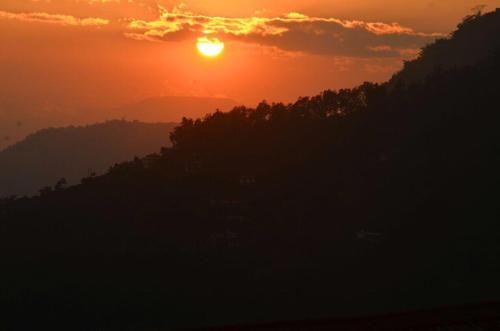 a sunset with the sun setting over a forest of trees at VAMOOSE PARKHA SIKKIM in Rangli