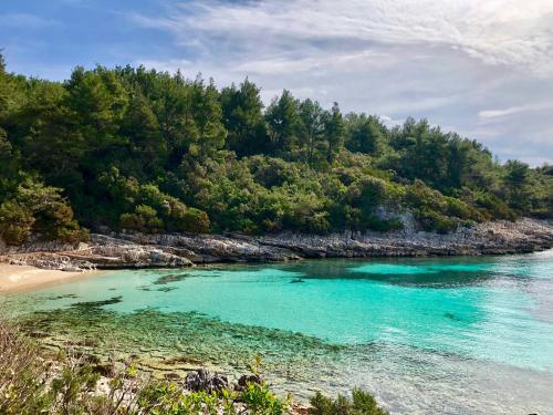 Φυσικό τοπίο κοντά σε αυτό το διαμέρισμα