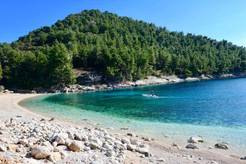 Φυσικό τοπίο κοντά σε αυτό το διαμέρισμα