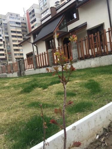 a small tree in a yard in front of a house at Sofia Family House - Free Parking in Sofia