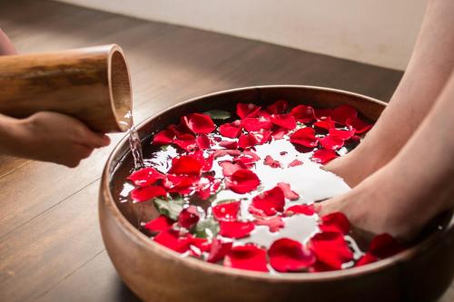 a person is holding a pot filled with red roses at Cauayan Island Resort and Spa in El Nido