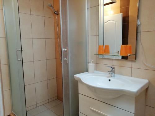 a bathroom with a sink and a shower at Apollo Vendégház in Edelény