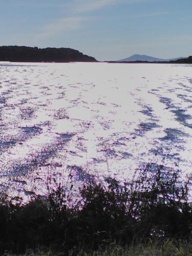 a large body of water with purple flowers on it at Maisonette Ilios in Plisioí