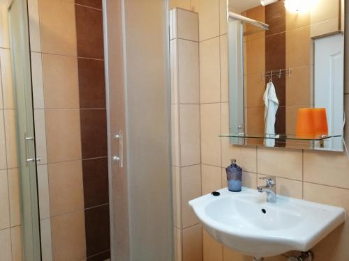 a bathroom with a sink and a shower at Apollo Vendégház in Edelény