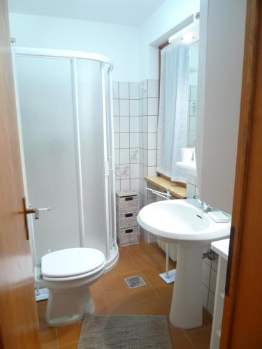 W łazience znajduje się prysznic, toaleta i umywalka. w obiekcie Casa Sorarù w mieście Rocca Pietore