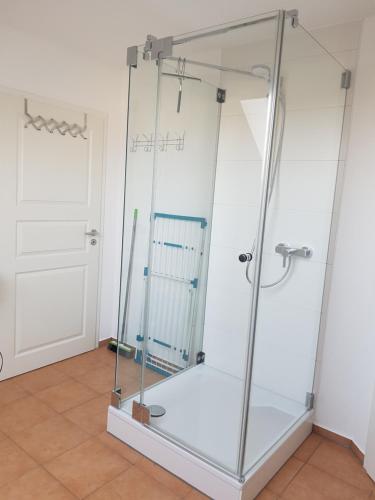 a shower with a glass enclosure in a bathroom at Ferienwohnung Braun in Echlishausen