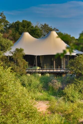 a tent in a field with a body of water at Saseka Tented Camp in Hoedspruit