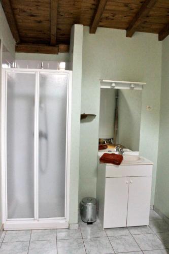 une salle de bain avec douche et lavabo dans l'établissement Chez Louve Bleue, à Hotonnes