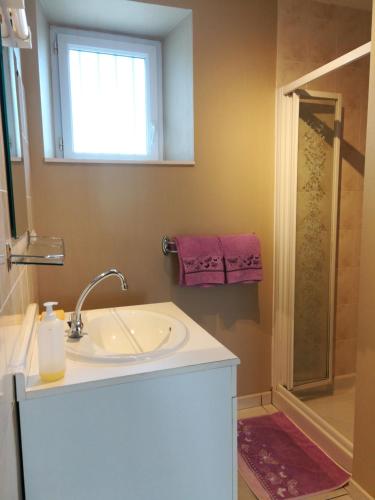 a bathroom with a sink and a shower at Chambres d'hôtes Le Petit Angle in Saint-Broladre
