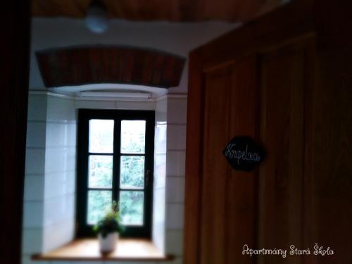 a window in a kitchen with a plant on the window sill at Apartmány Stará Škola in Krásná Lípa