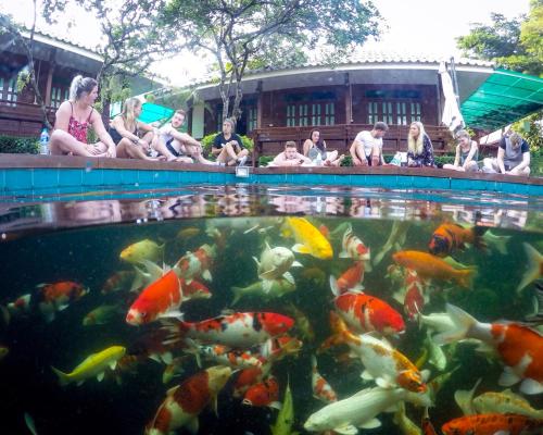 a group of people swimming in a pool with fish at บ้านกรนรา Baan Kornnara in Amphawa