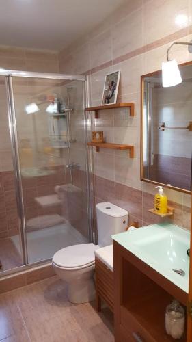 a bathroom with a shower and a toilet and a sink at La Triqueta Casa Rural con Piscina y Barbacoa, ideal para familias y grupos in Zarzuela del Monte