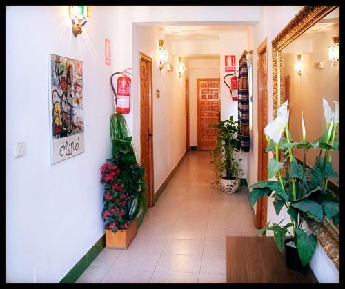 Hostal Estación, Almería – Bijgewerkte prijzen 2022
