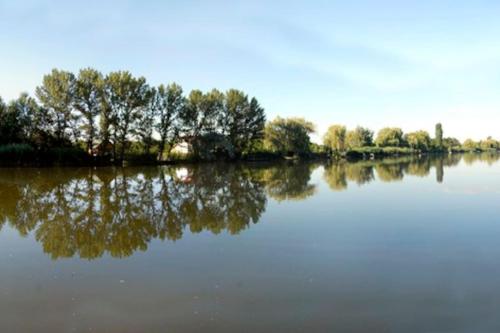 a lake with trees reflecting in the water at Hideout Homestead on the riverside Fishing&Hunting in Mezőtúr