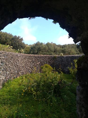 a stone wall with a field and trees behind it at 2 Gatti - Sogno in Pantelleria