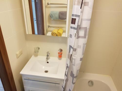 Een badkamer bij Neringa apartments
