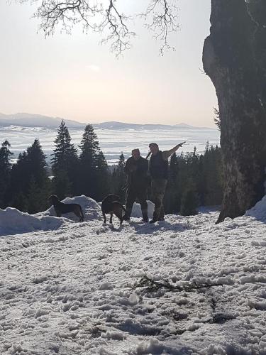 two people and two dogs walking in the snow at Mountain chalet SmoLenisko domek w górach in Nowy Targ
