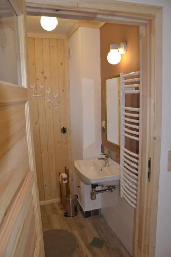 a bathroom with a sink and a mirror at Mountain chalet SmoLenisko domek w górach in Nowy Targ
