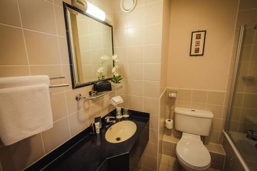 
a bathroom with a toilet, sink, and mirror at Waterford Viking Hotel in Waterford
