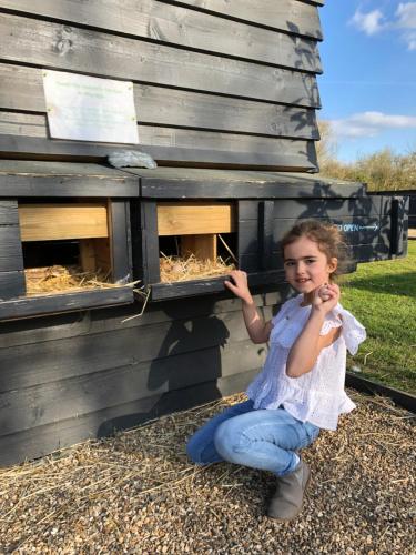 a young girl sitting in front of a bird house at Willow Court Farm Studio West & Petting Farm, 8 mins to Legoland & Windsor, 15 mins to Lapland UK in Windsor