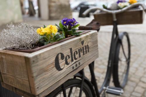 une caisse en bois à l'arrière d'un vélo avec des fleurs dans l'établissement Hotel Celerin, à Telč