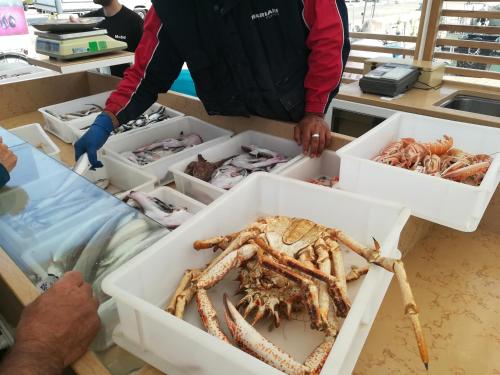 a person standing next to a box of seafood at Residence MareVerde in Senigallia