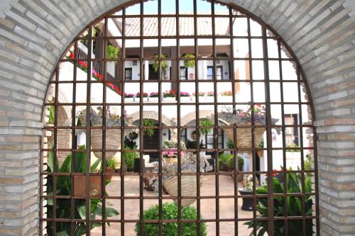 a large window with a cat inside of it at Suites La Posada De Pilar in Córdoba