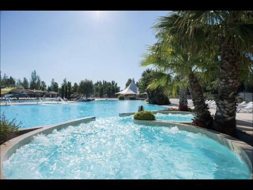Πισίνα στο ή κοντά στο Mobilhome Vias plage dans Camping