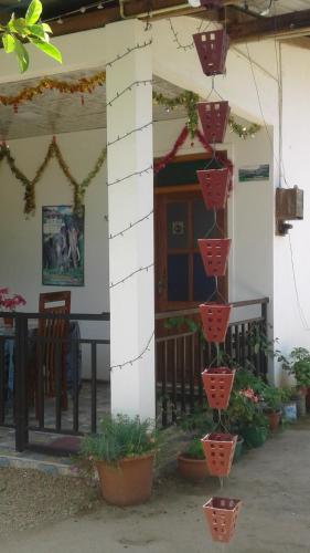 En hage utenfor Jaye Homestay