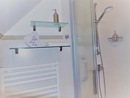 フェーマルンにあるFerienhof Christian und Antje Hoppのバスルーム(シャワー、ガラス張りのシャワー付)が備わります。