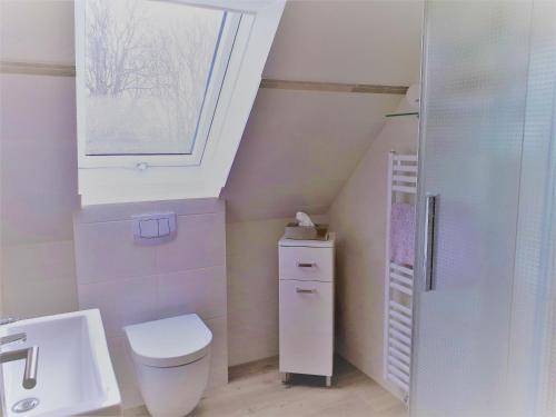 a white bathroom with a toilet and a sink at Ferienhof Christian und Antje Hopp in Fehmarn