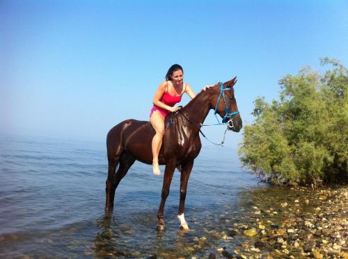 a woman in a bikini riding a horse in the water at Vergonis Studios in Koropi