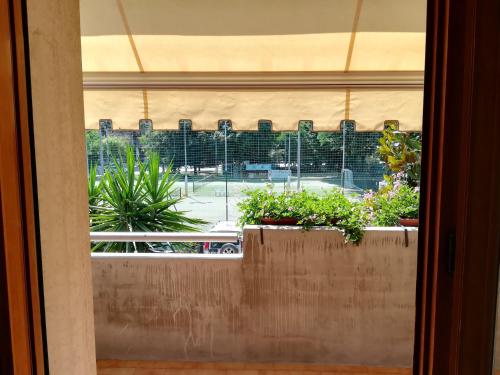 a window with a bunch of plants on a ledge at Residence MareVerde in Senigallia