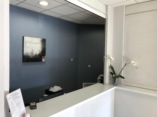 Bilik mandi di Appart'hotel Les Palatines