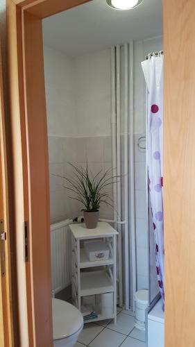 a bathroom with a toilet and a potted plant at Ferienwohnungen Dagmar in Kurort Oberwiesenthal