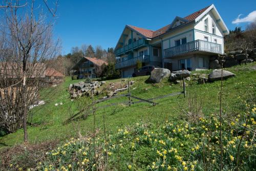 une maison sur une colline avec un champ de fleurs dans l'établissement Les Adrets, à Gérardmer