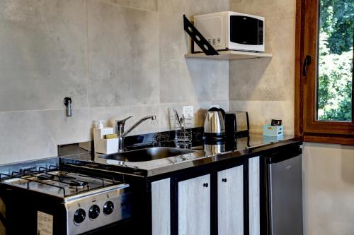 a kitchen with a stove and a sink and a microwave at Las Liebres in San Carlos de Bariloche