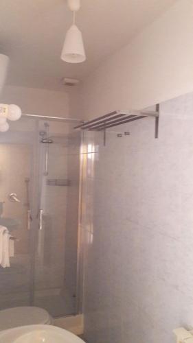a bathroom with a shower and a glass shower stall at Il Grifo Camere e Suites in Grosseto