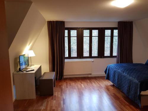 Schlafzimmer mit einem Bett und einem Schreibtisch mit einem TV in der Unterkunft Oberwaldhaus in Darmstadt