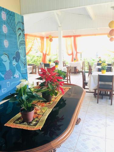 Paraty Bungalows Bar E Hotel في باراتي: طاولة عليها نباتات في أصص في مطعم
