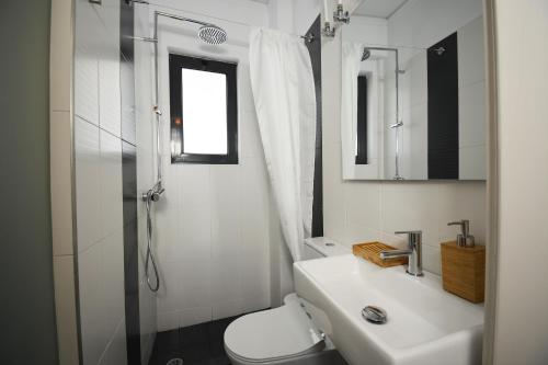 a bathroom with a sink and a toilet and a shower at Suites 51 in Piraeus