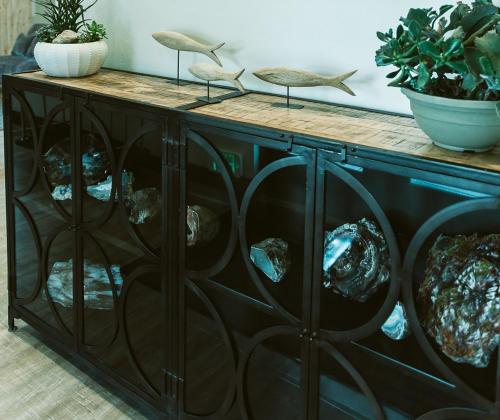 a black cabinet with a table with rocks on it at Silver Creek Hotel in Hailey