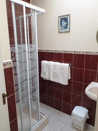 a bathroom with a shower and a toilet and a sink at Glencora B&B in Skibbereen