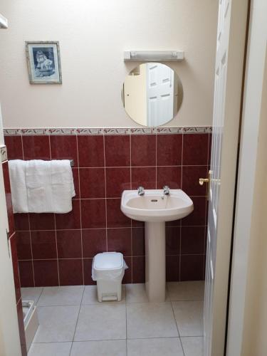 uma casa de banho com um lavatório e um espelho em Glencora B&B em Skibbereen