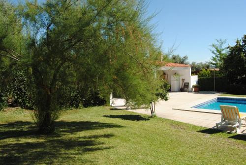a tree in a yard next to a swimming pool at Quintinha Santar in Santar