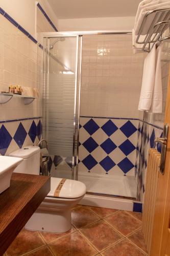 a bathroom with a shower and a toilet at Casa Rural as Bentinas in Milladoiro