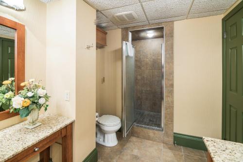 a bathroom with a toilet and a shower at Ramada by Wyndham Thunder Bay Airlane Hotel in Thunder Bay