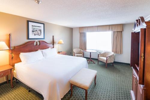 a hotel room with a large white bed and a desk at Ramada by Wyndham Thunder Bay Airlane Hotel in Thunder Bay