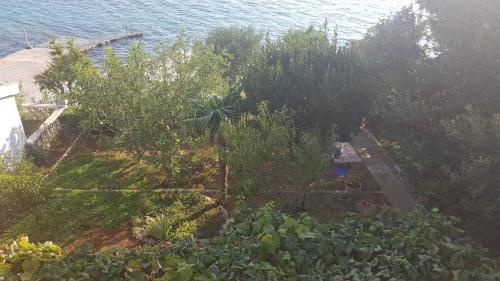 an aerial view of a garden next to the water at Apartmani Herceg in Karlobag